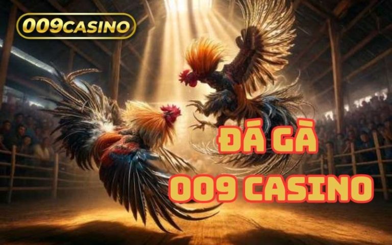 Đá gà 009 Casino
